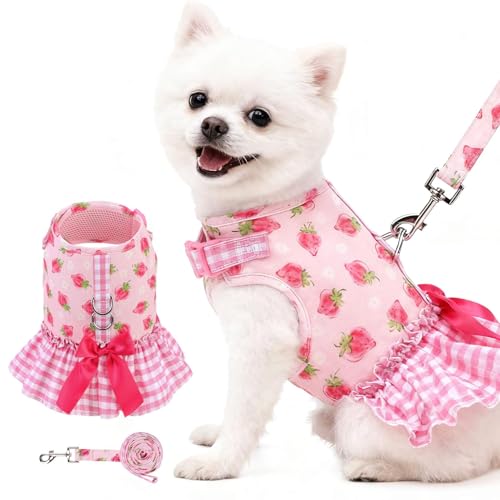 EXPAWLORER Dog Harness Small Medium Sized Dogs, Plaid Dog Dress Bowknot Harness and Leash Set, No Choke No Pull Soft Mesh ...
