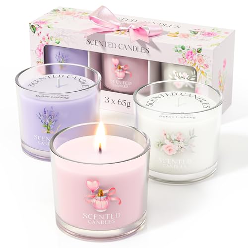 CHILLFLAME Scented Candles, Scented Candle Gift Set for Stress Relief, 3 Votive Candles for Women and Men, Birthday Candle...