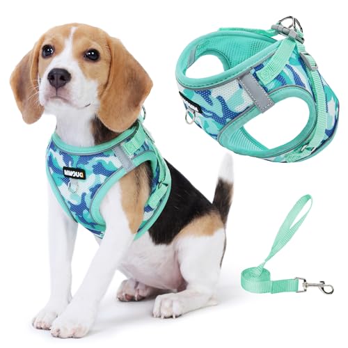 Jolifield Step in Dog Harness with Leash Set, Adjustable Soft Padded and Breathable Mesh for Small Sized Dog, Reflective N...