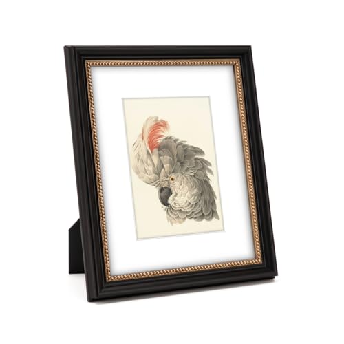 WYNCO 8x10 in Black Wooden Decorative Picture Frame, Ornate Gold Beaded Inner, Matted for 5x7 Photo, Tabletop or Wall Moun...