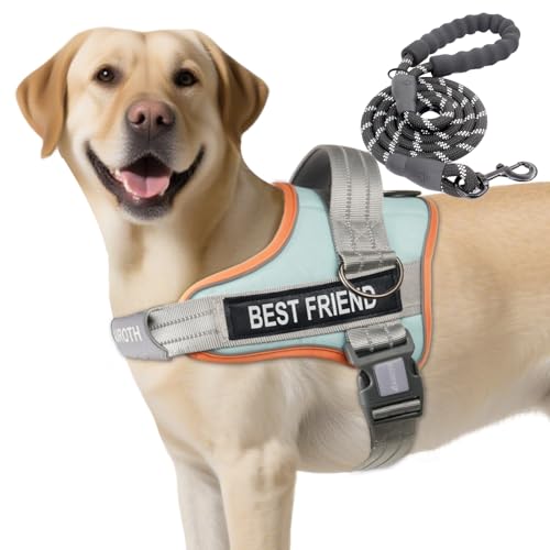 AUROTH Dog Harness and Leash Set, Soft Padded Service Dog Vest with 5.25FT Dog Leash, No Choke, Easy On Pet Vest, Adjustab...