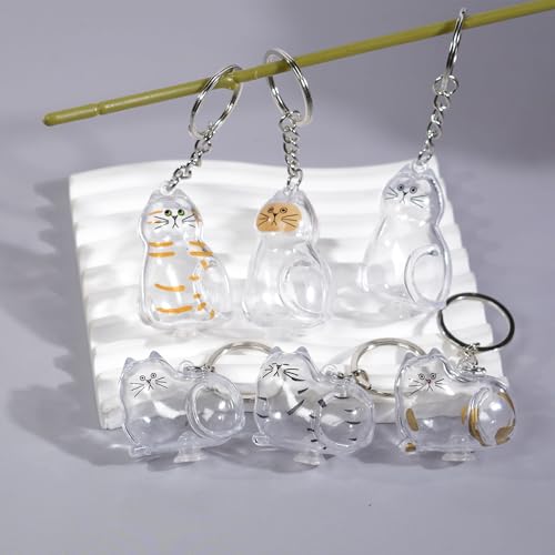 BTYYIHEX 6 Pcs Cat Hair Keepsake Keychains – 2025 New Memorial Capsule Pendants, Fur Holder Bottles for Cat Lovers, Though...