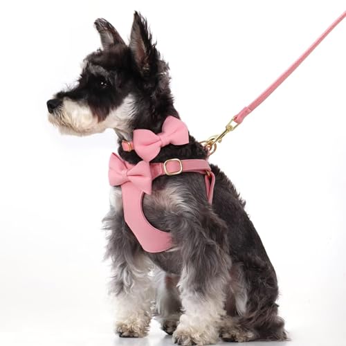 Beirui Adorable Small Dog Harness Collar Leash Set,Cute Puppy Harness with 3 Bows for XS Dogs,Yorkie,Adjustable Step-in Ve...