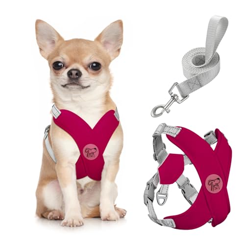Pawaboo Small Dog Harness and Leash Set, Puppy Harness X-Frame No Pull No Choke, Dog Vest Harness Adjustable for Small Med...