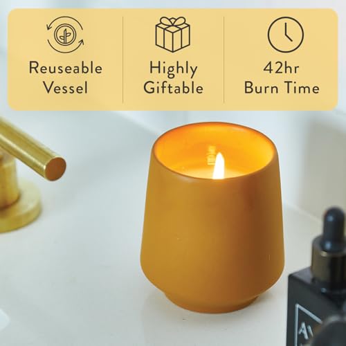 Modern Sprout - 2 in 1 Cedarwood Scented & Soy Candle with Seeds that Grows into Lavender Plant - 6 oz w/ 42 hr Burn time ...