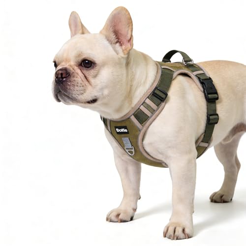 Small Dog Harness, Heavy Duty Tactical No-Pull Reflective Harness & Collar Set — Secure, No Choke, Easy On and Off Pet Ves...