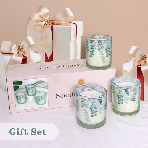 3 Pack Candles for Home Scented Aromatherapy Candles Gifts Set Eucalyptus Scented Candle Long Lasting Greenery Decorative ...