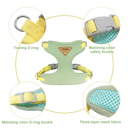 wanheart Cat Harness and Leash Set Escape-Proof Adjustable cat Leash and Harness Combo Suitable for All cat Breeds (Green, S)