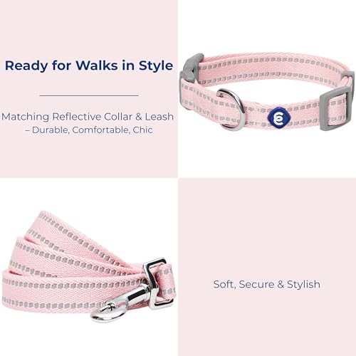 Blueberry Pet Essentials Matching Dog Collar & Leash Set | Pastel Reflective Adjustable Collar with 4 ft Lead for Large Do...