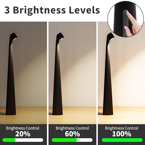 HAPYGI Portable Cordless LED Desk Lamp,Rechargeable Wireless Table Lamp, 3-Level Brightness, Patio Table Lamp, Bedside Nig...