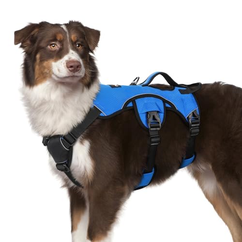 rabbitgoo Escape Proof Dog Harness, Soft Padded Full Body Pet Harness, Reflective Adjustable No Pull Vest with Lift Handle...
