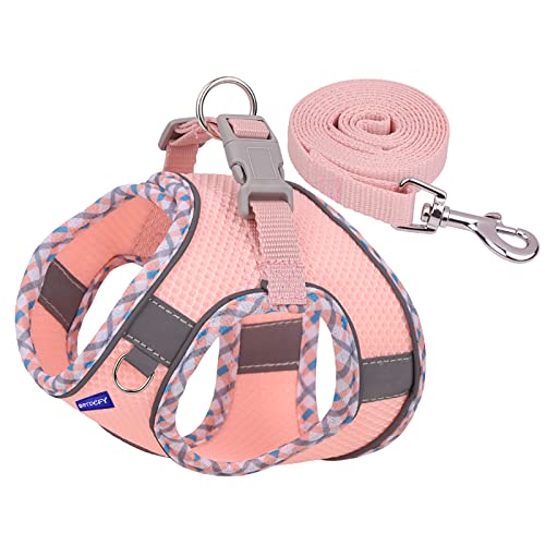 BTDCFY Step in Mesh Dog Harness and Leash Set - Breathable Air Mesh Reflective Escape Proof Vest - No Choke, Lightweight