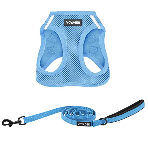 Best Pet Supplies Voyager Step-in Air All Weather Mesh Harness and Reflective Dog 5ft Leash Combo with Neoprene Handle, fo...