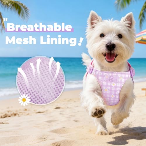 PETCARE Cute Small Dog Harness and Leash Set Purple Floral Daisy Puppy Harness Vest Adjustable Step in Spring Summer Soft ...
