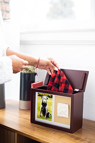 Pearhead Pet Photo Memory Box and Impression Kit for Dog or Cat Paw Print, Clay Paw Print Urn, Pet Memorial, Espresso