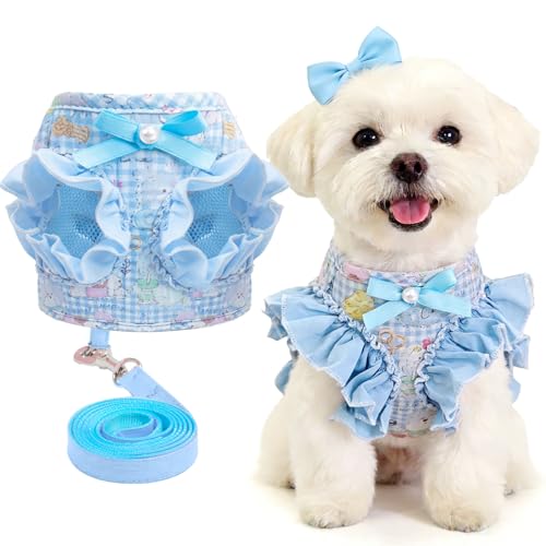 ABRRLO Small Dog Harness and Leash Set Soft Breathable Mesh No Pull Puppy Harness with Bowknot Adjustable Cute Blue Dog Ve...