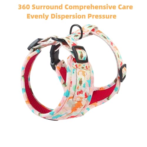 Adjustable Dog Harness and Leash Set for Girl Air Mesh Dog Vest Harness 5Ft Pet Training Leash with Soft Handle Pet Escape...