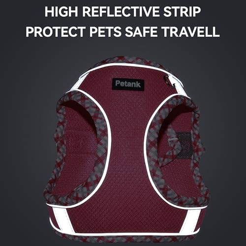 Petank Dog Harness for Small Medium Dogs No Pull, Puppy Harness and Leash Set for Walking, Running, Training, Small Dog Ha...