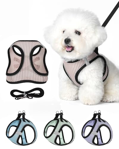 VernAlly Dog Harness Small Sized and Leash Set, Step in Soft Light Puppy Vest, Breathable Mesh Pet Harness Suitable for Pu...
