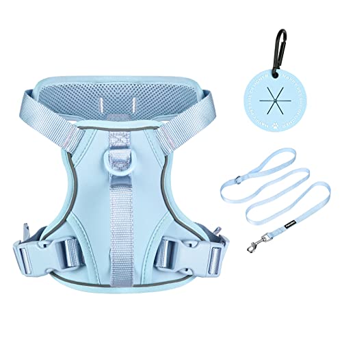 Petmolico Dog Harness for Small Dogs, Cute Harness Vest with Two Leash Clips and Soft Handle, Reflective Easy Walk Puppy V...