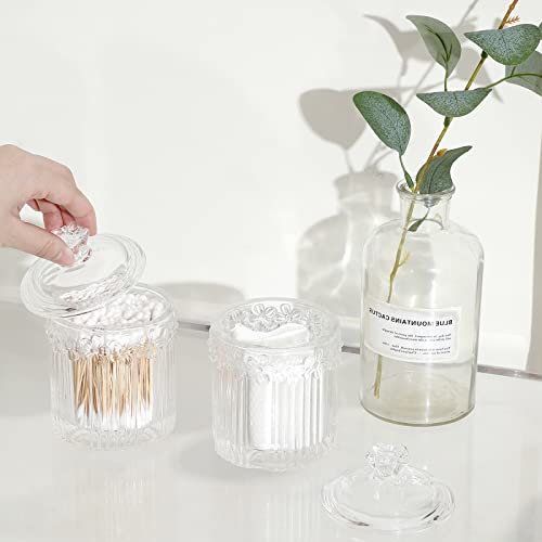 rejomiik 2 Pack Qtip Holder Glass Apothecary Jars with Lids Bathroom Accessories Vanity Organizers and Makeup Storage Cani...