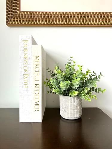 Decorative Books for Home Decor - Set of 2 Rustic Fake Faux Book Storage Boxes, Magnetic Closure, Scripture Inside, Linen ...