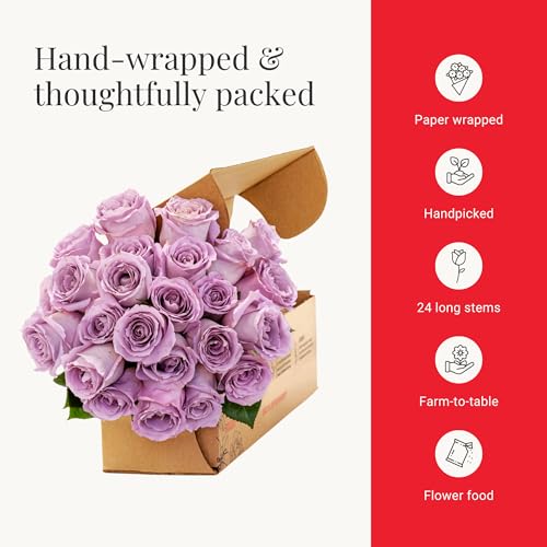 BloomsyBox - Lavender Roses - 24 Long Stems,Long Lasting, Hand-Tied in Eco-friendly, Vase Not Included, Fresh Flowers for ...