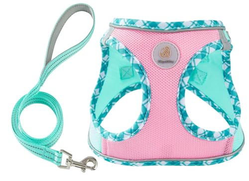 Hipubby Dog Harness Small Sized and Leash Set, No Pull Soft Mesh Puppy Vest, Reflective Breathable Lightweight Pet Harnes...