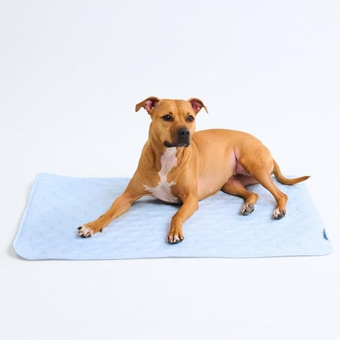 Spark Paws Cooling Mat for Dogs - Self Cooling Dog Mat & Pet Cooling Pad for Large, Medium & Small Dogs - Non-Toxic, Non-G...