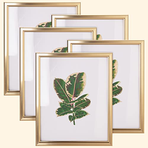 euwazram 8x10 Picture Frame - Set of 5, Matte Gold 8 x 10 Photo Frame with High-Definition Glass, Modern 8x10 frame for Ta...