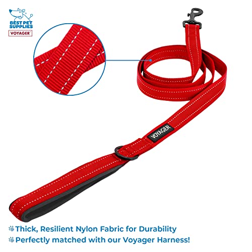 Best Pet Supplies Voyager Step-in Lock Pet Harness w Reflective Pet Leash Combo Set with Neoprene Handle 5ft - Supports Sm...