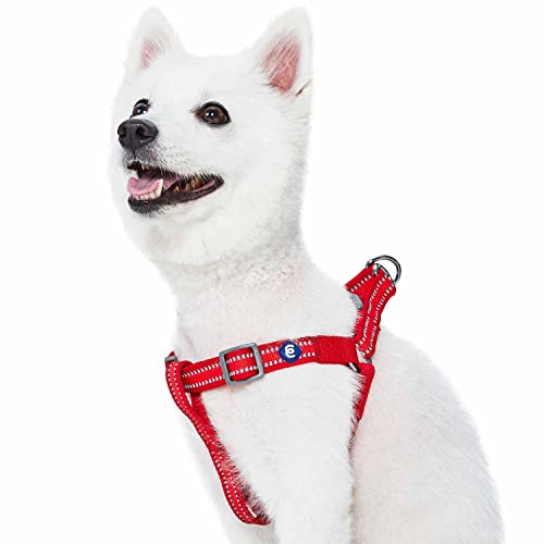 Blueberry Pet Essentials Step-in Reflective Back to Basics Dog Harness, Rouge Red, Chest Girth 16.5" - 21.5", Small, Adjus...