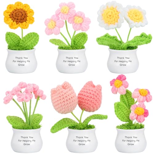 Ferrochef 6 Pcs Teacher Appreciation Gifts Crochet Flowers Bulk Thank You for Helping Me Grow Crochet Flower Handmade Appr...