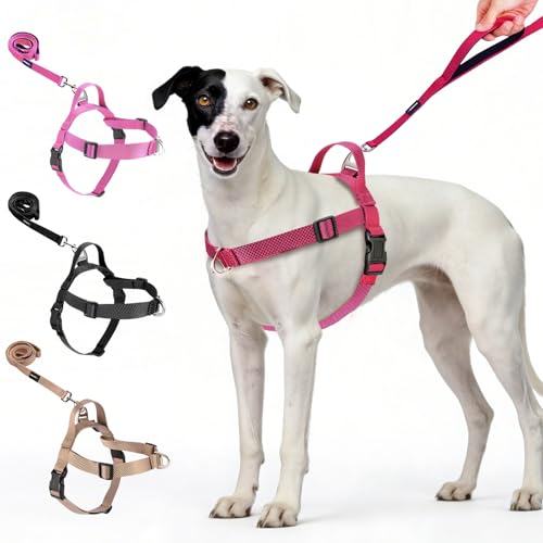 Annchwool No Pull Dog Harness with Front Clip and Easy Control Handle-Belly & Chest Adjustable Dog Harness and Leash Set f...