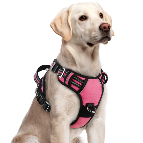 rabbitgoo Dog Harness for Large Dogs, No Pull Pet Vest with 3 Buckles, Adjustable Soft Padded Pet Harness with Easy Contro...