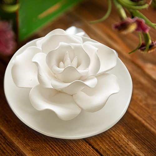 Passive Diffuser for Essential Oil-Ceramic Diffuser Non Electric Oil Diffusers for Small Mini Room, Desk Decorative, Bathr...