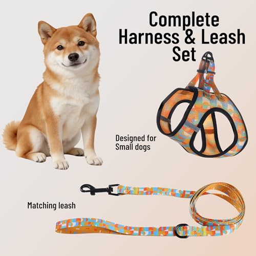 EVERKING Breathable Mesh No-Pull Dog Harness & Leash Set for Small Dogs, Reflective Trim for Safety – Comfortable Vest Des...