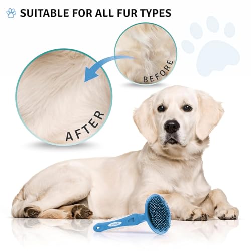 Round Bristle Pet Brush for Dogs and Cats - Soft Dog Brush for Grooming Short or Long Hair - Gentle Tool for Sensitive Ski...