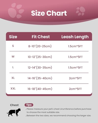 FAYOGOO Cat Harness and Leash Set | Upgrade Step-in Escape Proof Harness | Lightweight Soft Vest, No-Choke Design for Walk...