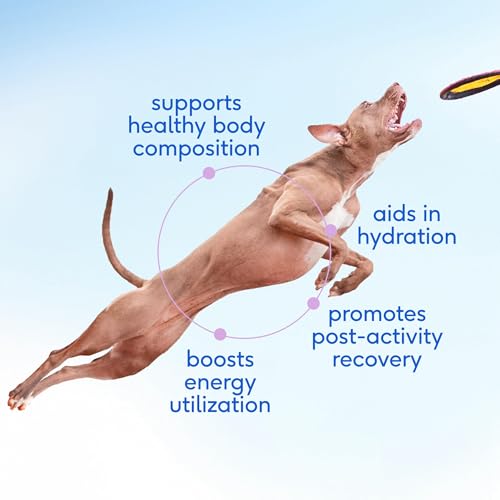 Native Pet Goat Milk Powder - Dog Food Topper for Active Dogs - Post-Activity Recovery, Energy, Immune Support, Hydration...