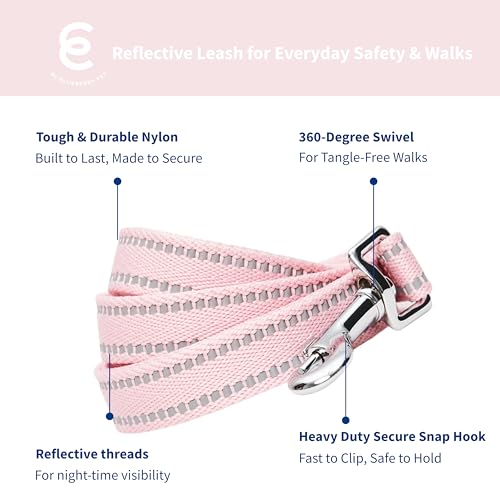 Blueberry Pet Matching Reflective Harness and Leash Set | Adjustable Pastel Vest with Lead for Dogs – Great Value Gift Set...