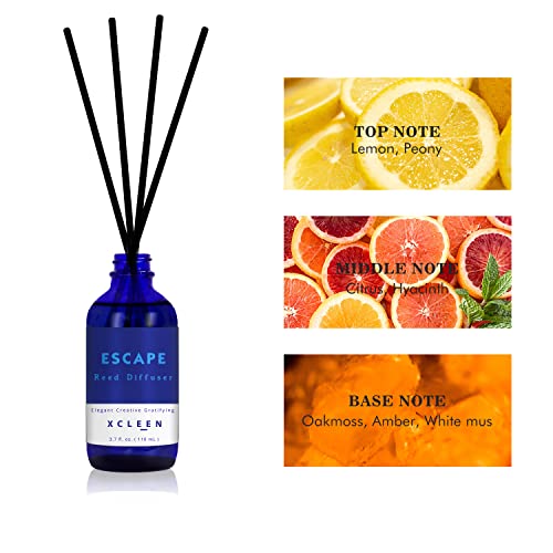 Xcleen Reed Diffusers Set, 3.7 Oz Scent Diffuser, 6 Reed Diffuser Sticks, Home Fragrance Hyacinth, Peony & Citrus, Aromath...