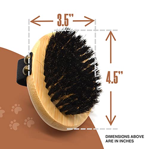 The Buddy System Pet Close Brush, Soft Touch Oval Palm Brush - Bamboo Massage Handheld with Soft Boar Bristles and Elastic...