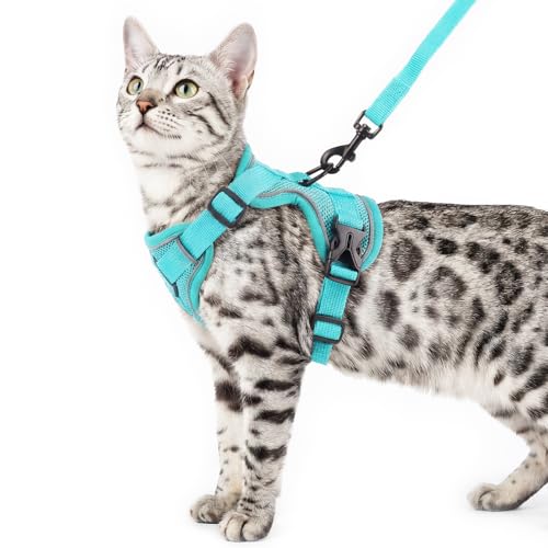 pangdi Cat Harness and Leash Set Escape Proof Tactical Large Kitten Harness Emotional Support Cat Vest, Turquoise, L