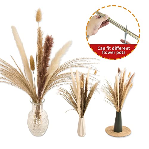 65PCS Pampas Grass Decor, Including pompas Floral, Reed Dried Grass and Bunny Tails Dried Flowers, Natural Dried Pampas Gr...