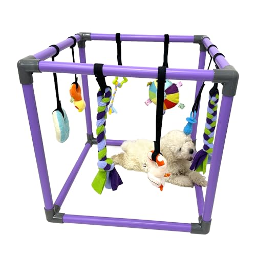 DOZZOPET Puppy Play Gym for Small Dogs with 8 Hanging Toys, Jungle Playground with Interactive Funny Enrichment Toys to Ke...