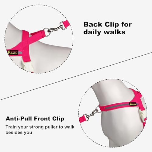 Plutus Pet Cotton Dog Harness and Leash Set, Reflective and Soft Padded, Quick Fit Vest Harness, for Small, Medium and Lar...