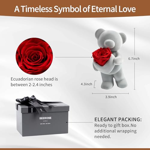 SEEROSE Preserved Rose with Cute Bear, Eternal Real Rose Last for Years, Romantic Flower Gift for Her, Wife, Girlfriend, V...