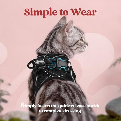 rabbitgoo Cat Harness and Leash Set for Walking Escape Proof, Adjustable Soft Kittens Vest with Reflective Strip for Cats,...