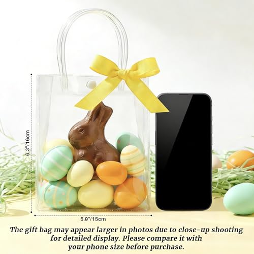 MAQIHAN Clear Gift Bags with Handles - 10 Party Favor Candy Bags, Plastic Goodie Bags Transparent, bolsitas, for Valentine...